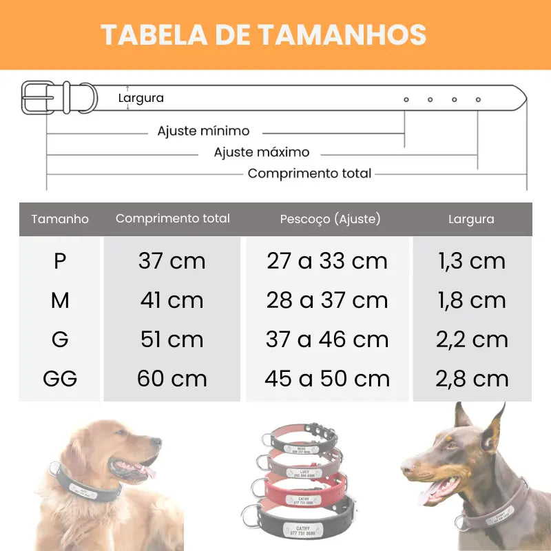 Coleira Personalizada com nome e contato