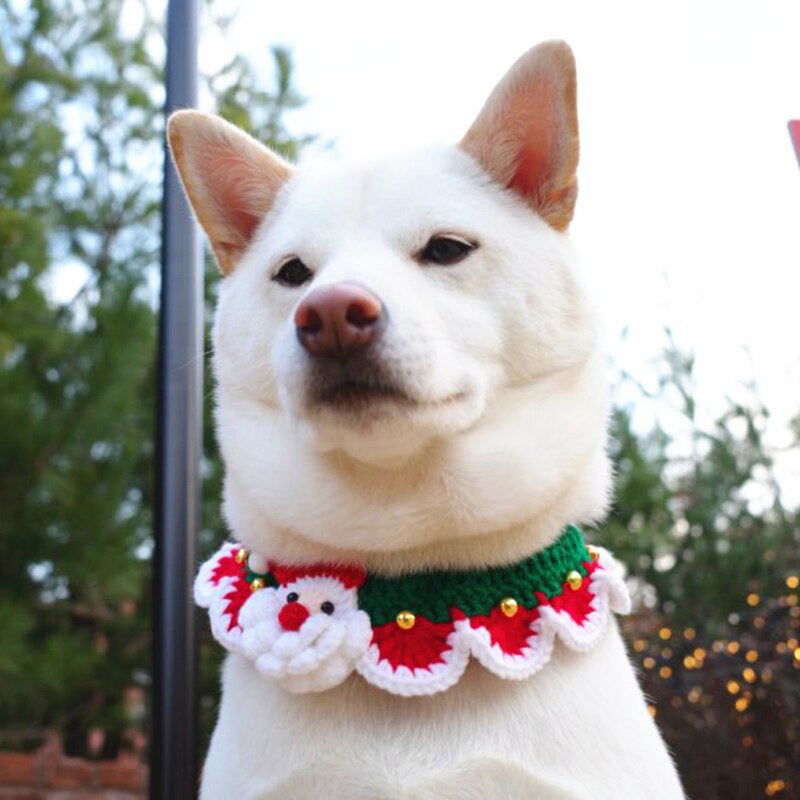 Colar de Natal Para Cachorro e Gato