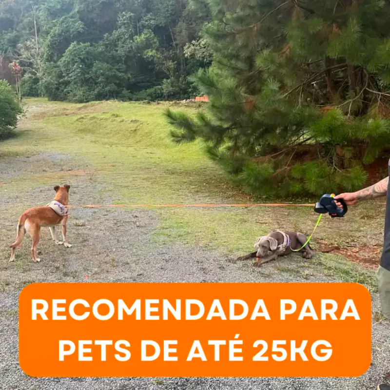 Coleira Dupla Para Pet Retrátil e Giratória