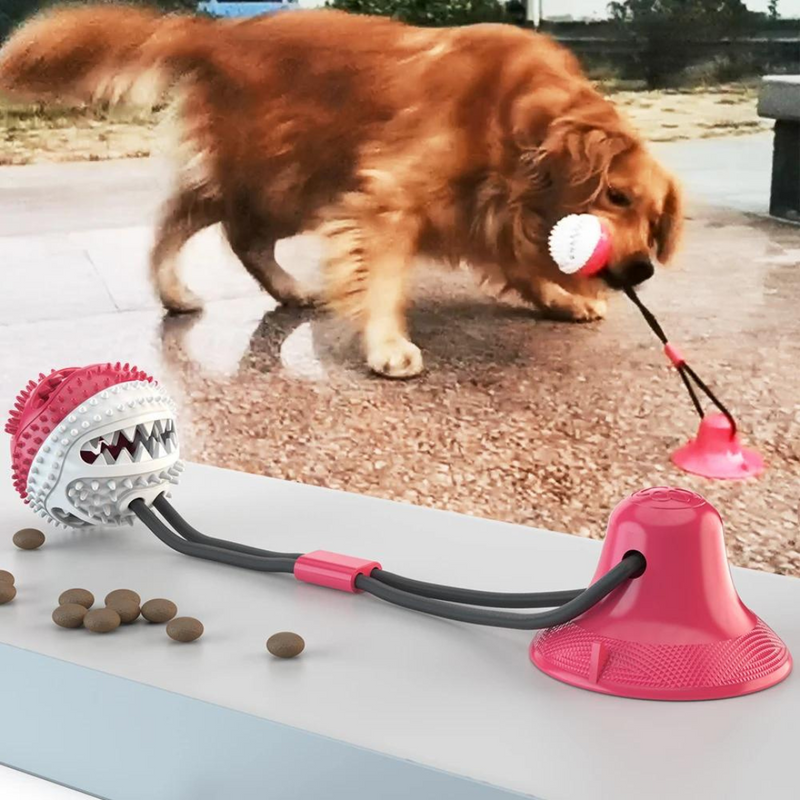 Bolinha Cabo de Guerra com Porta Petiscos e Mordedor para Cachorro