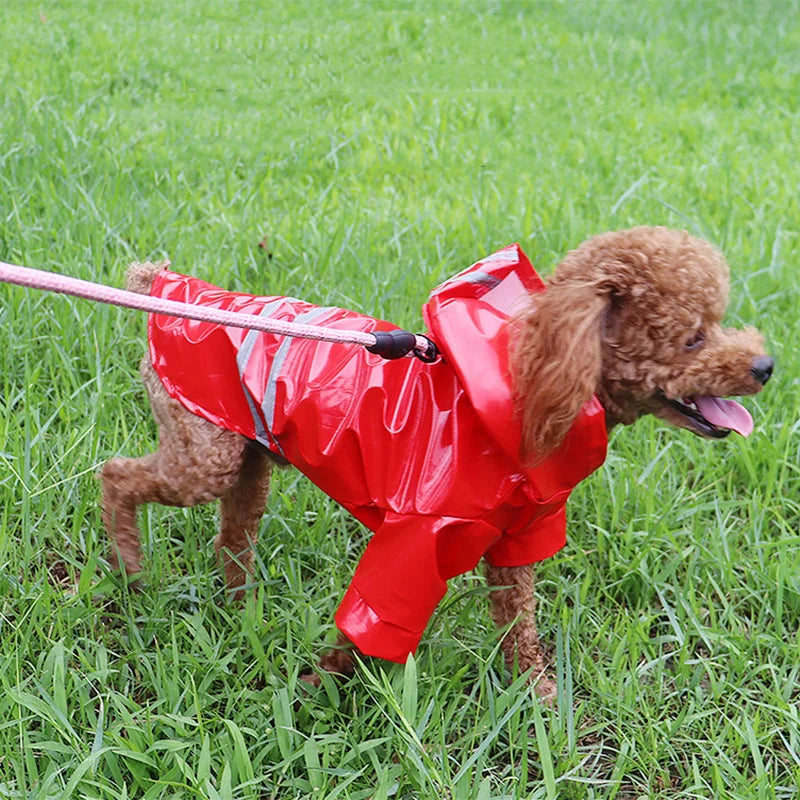 Roupinha Impermeável para Cachorros Pequenos