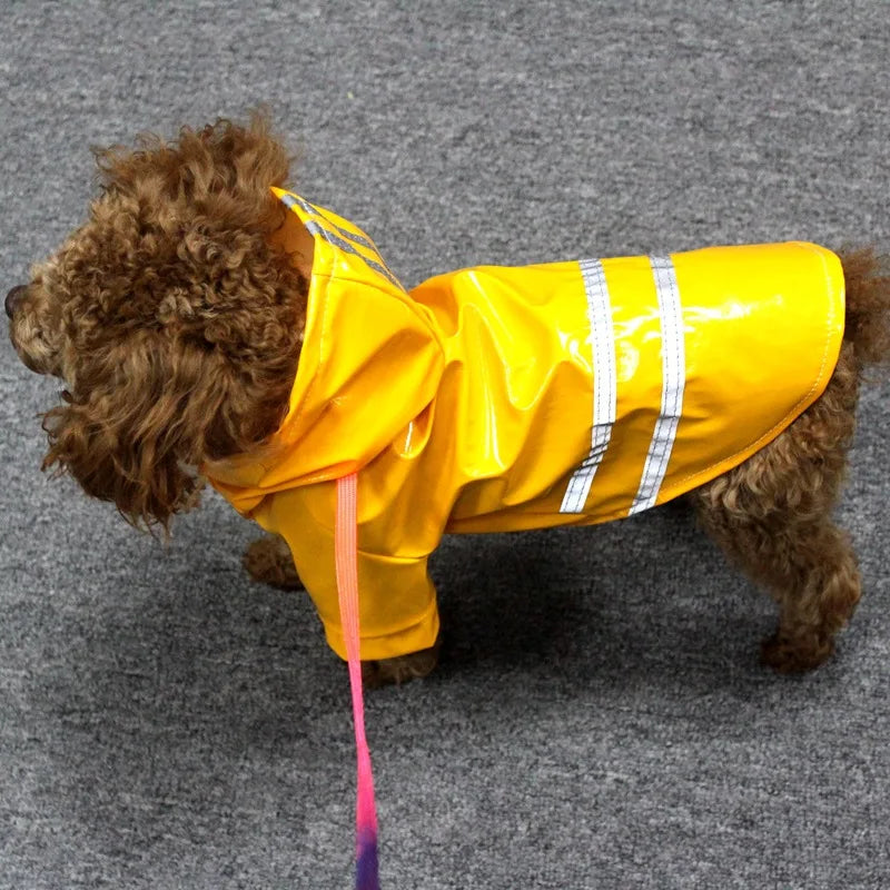 Roupinha Impermeável para Cachorros Pequenos