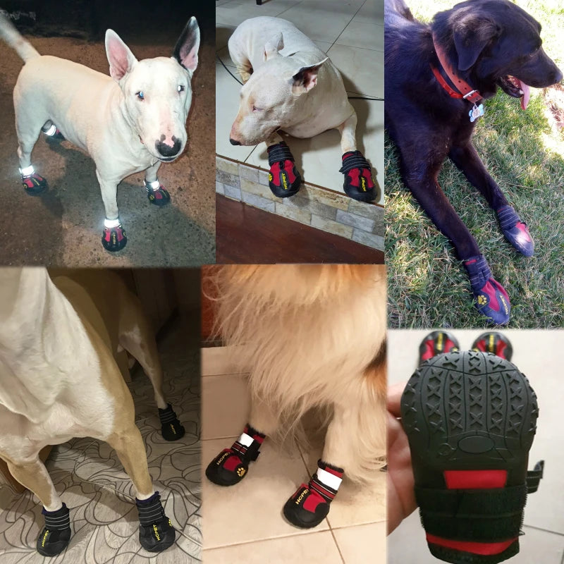 Sapato Antiderrapante Prova D´Água - Pet Shoes