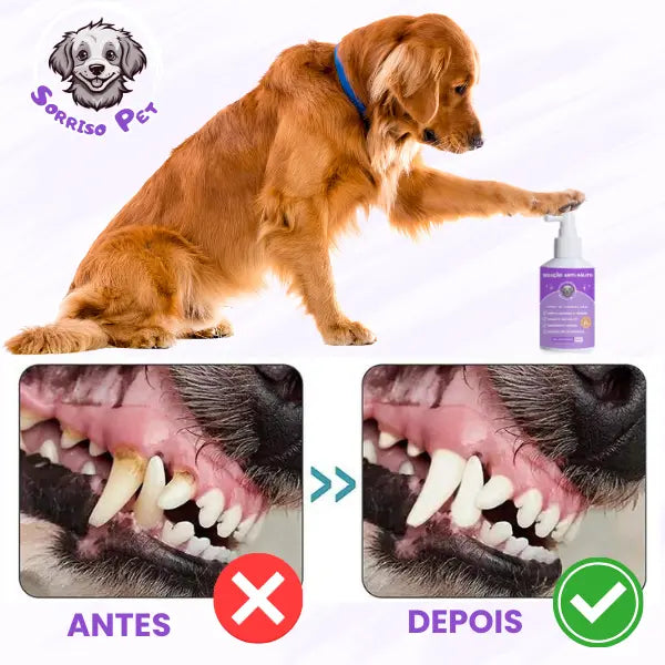 SorrisoPet™ - Spray Elimina Tártaro e Mau Hálito